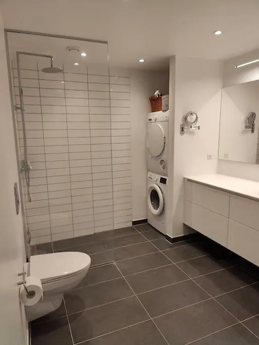 Penthouse Apartment Copenhagen Denmark