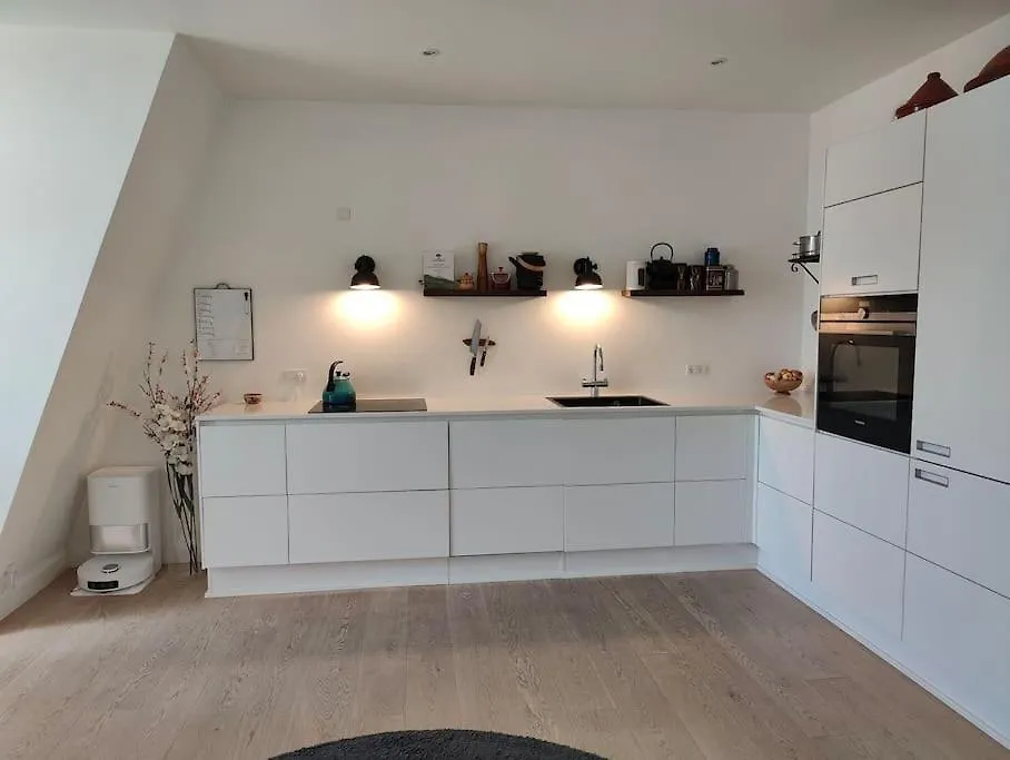 Penthouse Apartment Copenhagen